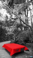 京都　大河内山荘庭園　RED。。