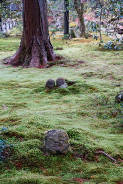 大原三千院。