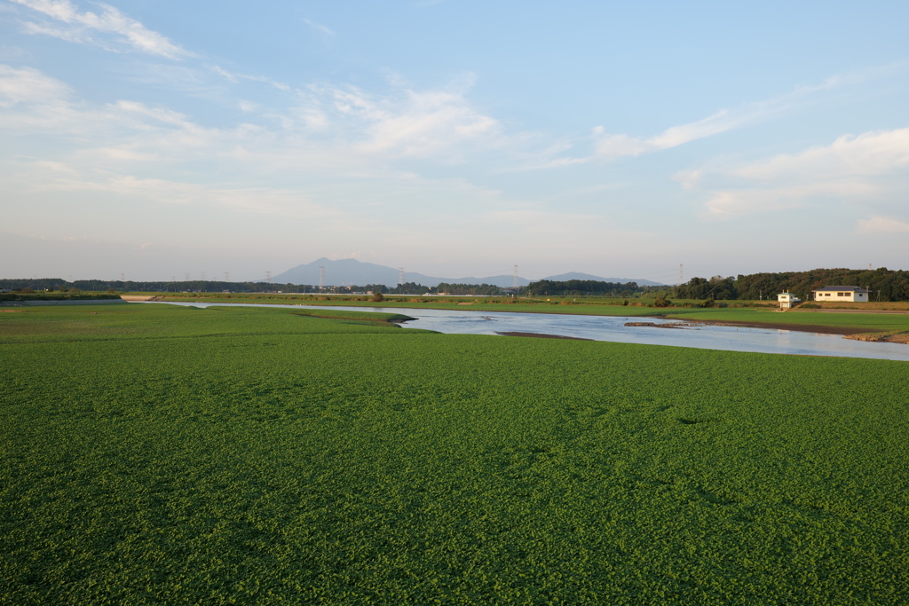 小貝川 福岡堰