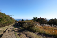 寄り道