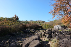 寄り道