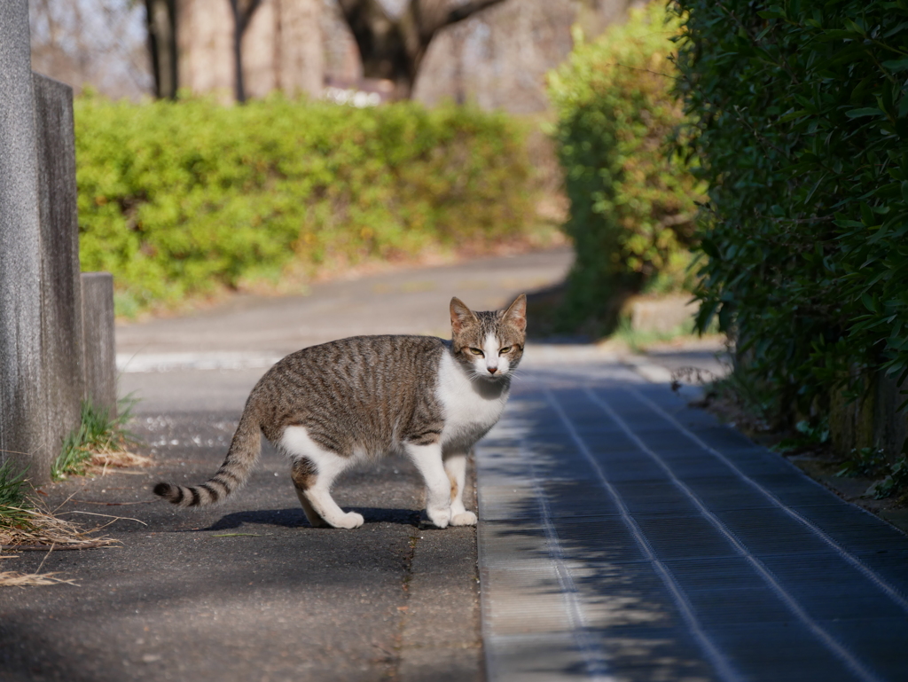 お、怒ってます...？