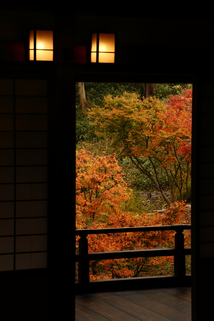 外に広がる紅葉