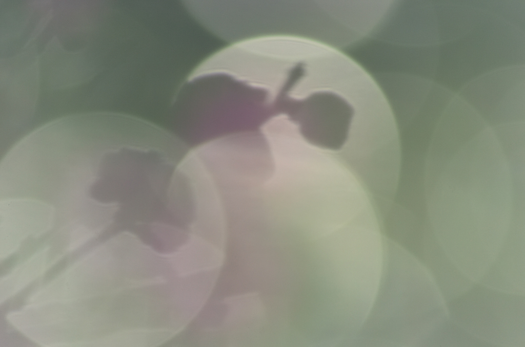 梅