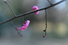 wait for spring