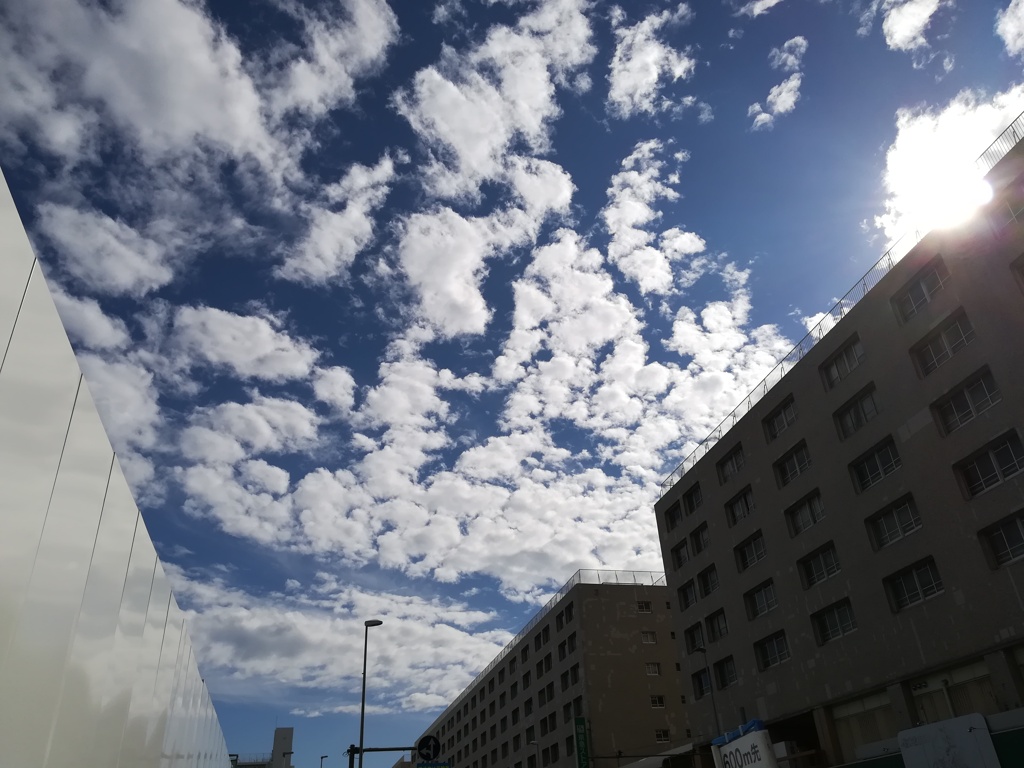 収束と解放