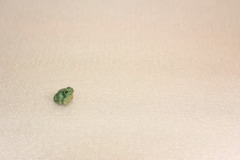 silent…