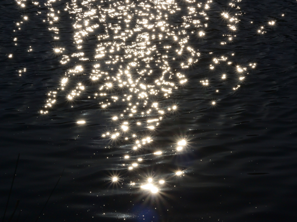 宝探し