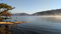 十和田湖の朝