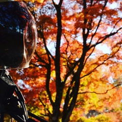 バイクと紅葉