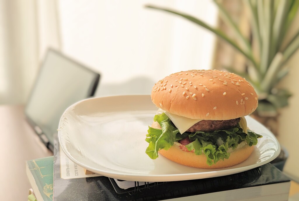 適当にハンバーガーを作ってゴロゴロする休日