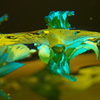 水中花NO7