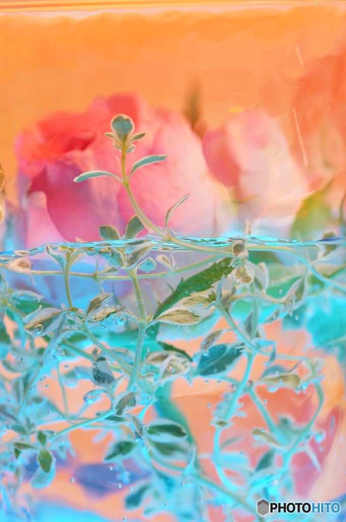 水中花NO9