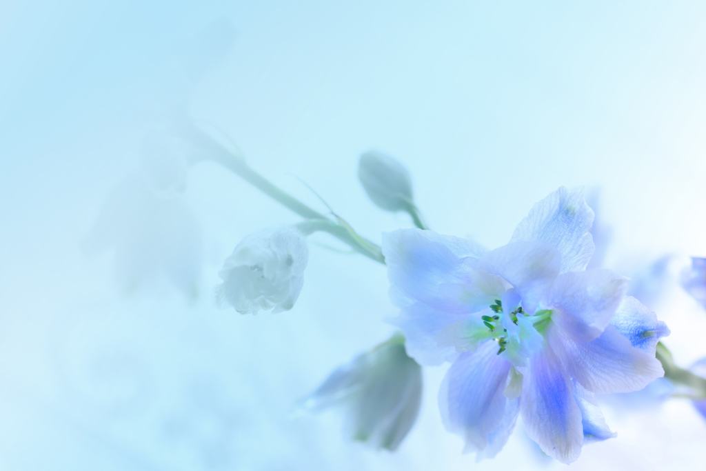 blue