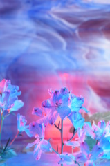 青い花