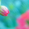 小さいもの