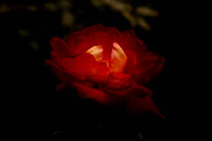 Marie Henri Beyle