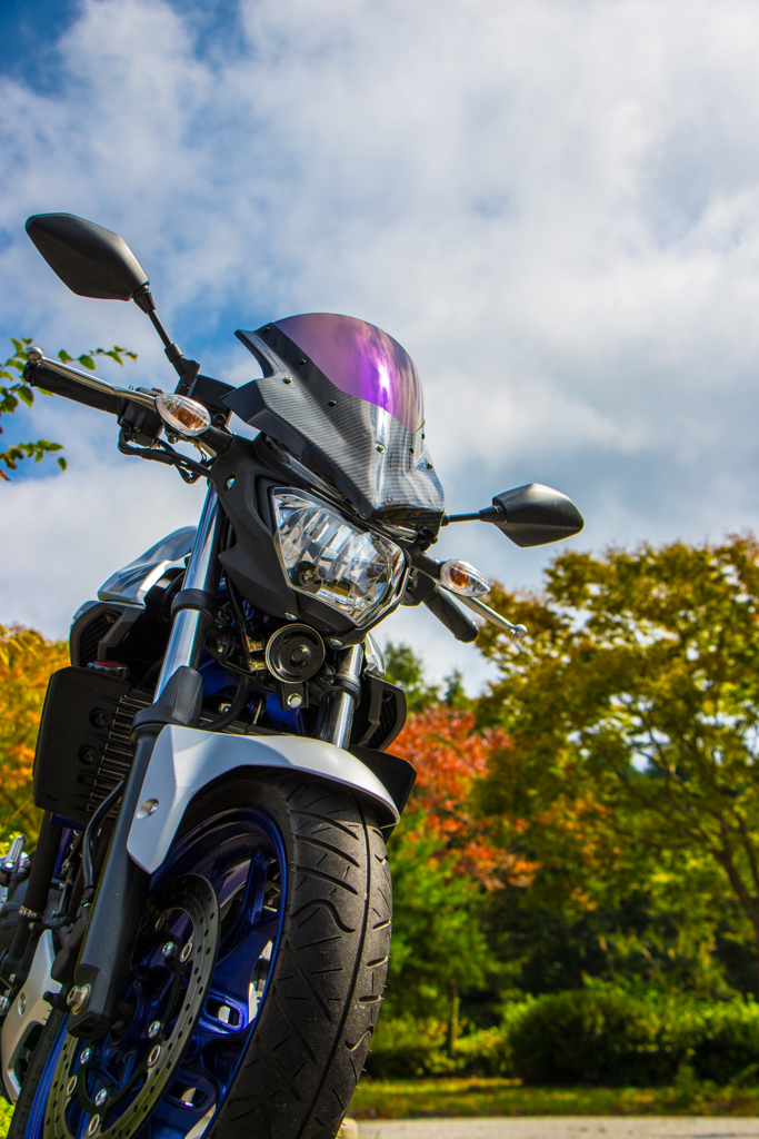 YAMAHA　MT-25