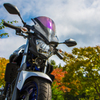 YAMAHA　MT-25