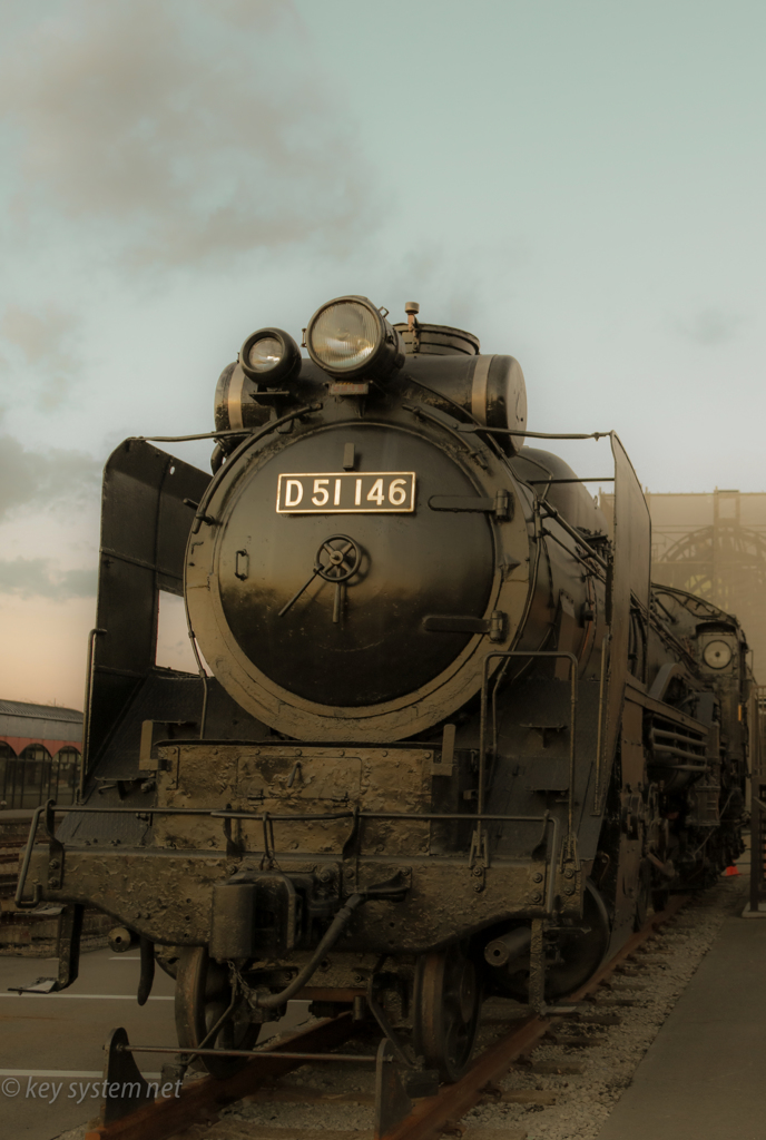 SL   D51 