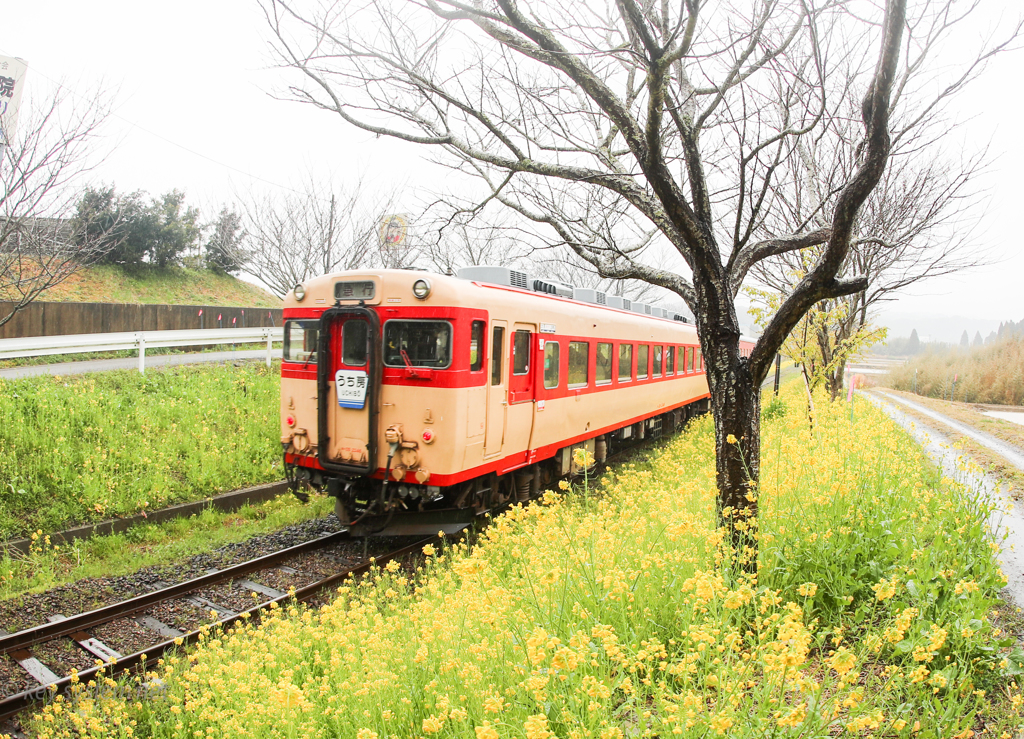 いすみ鉄道