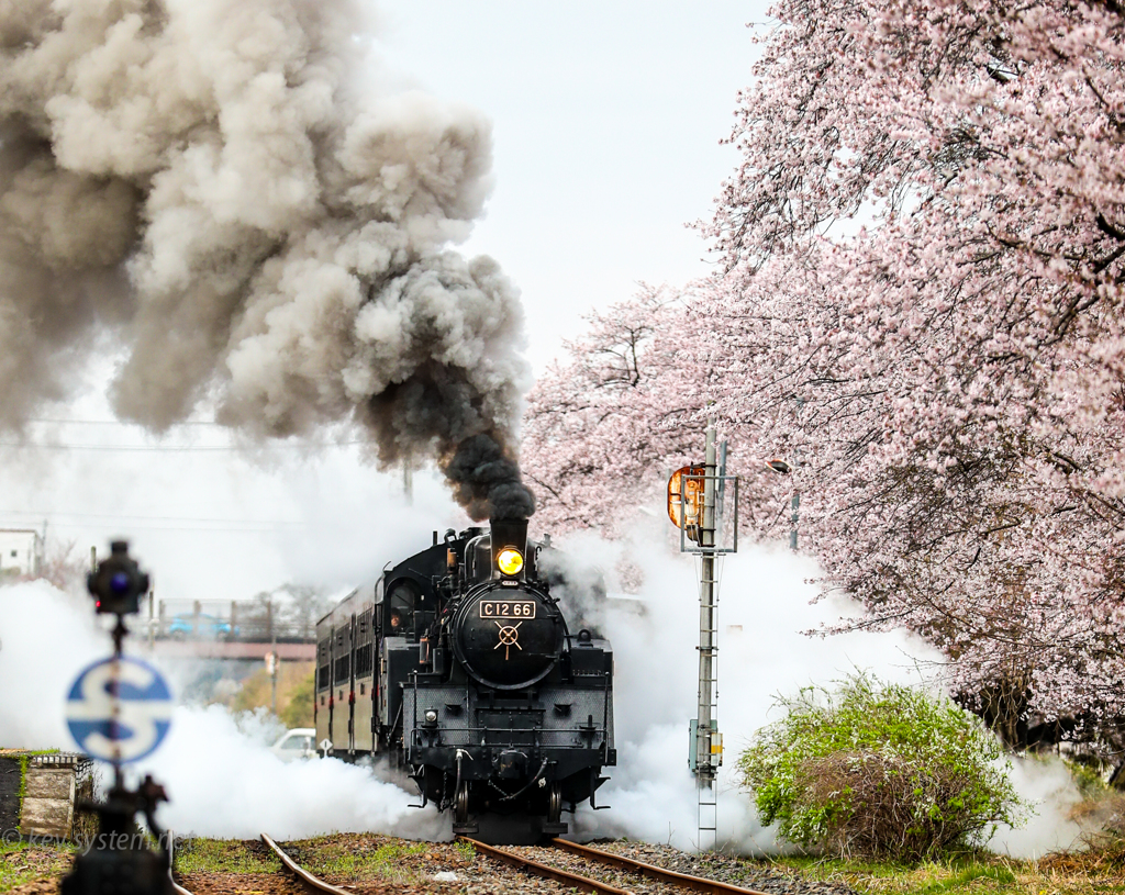 真岡鉄道SL