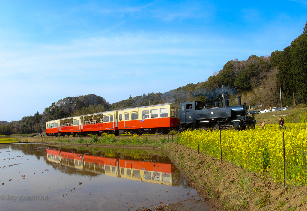 里山トロッコ列車