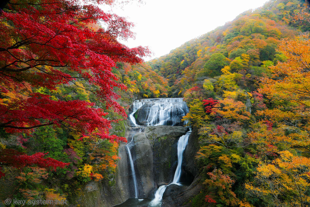 袋田の滝