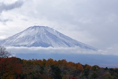 富士山