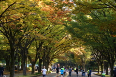 PARK LIFE