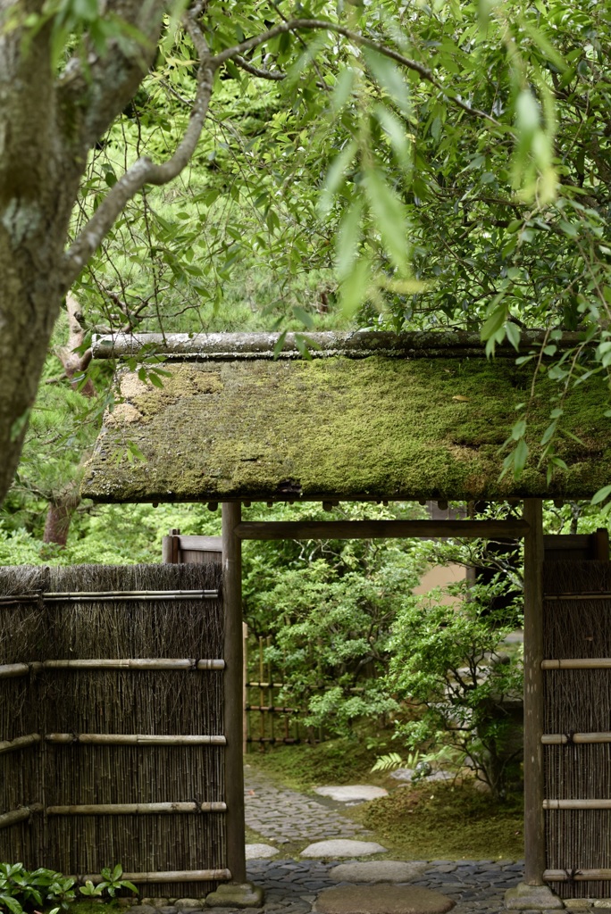 お気楽な寺