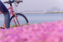 琵琶湖サイクリング