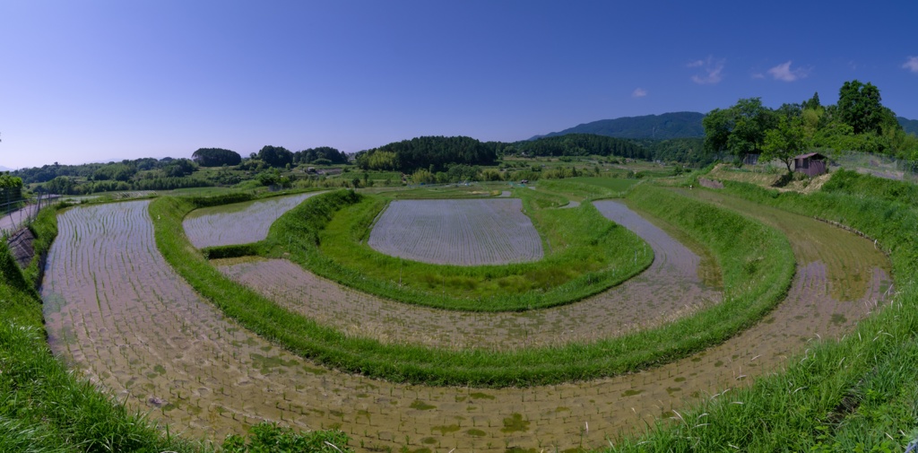 馬蹄棚田