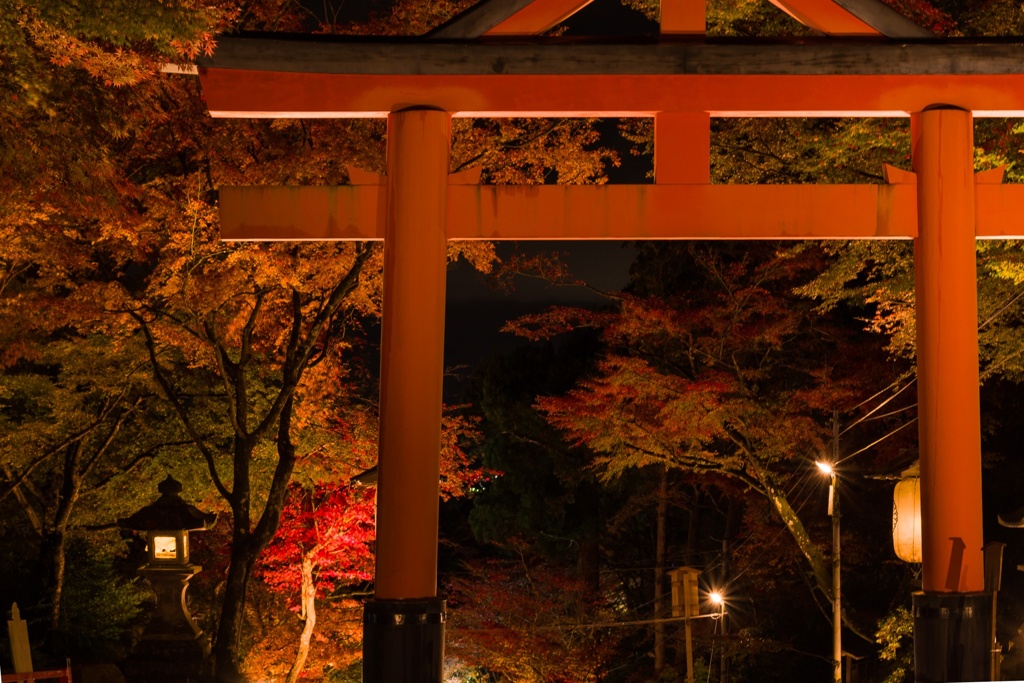 日吉大社の紅葉