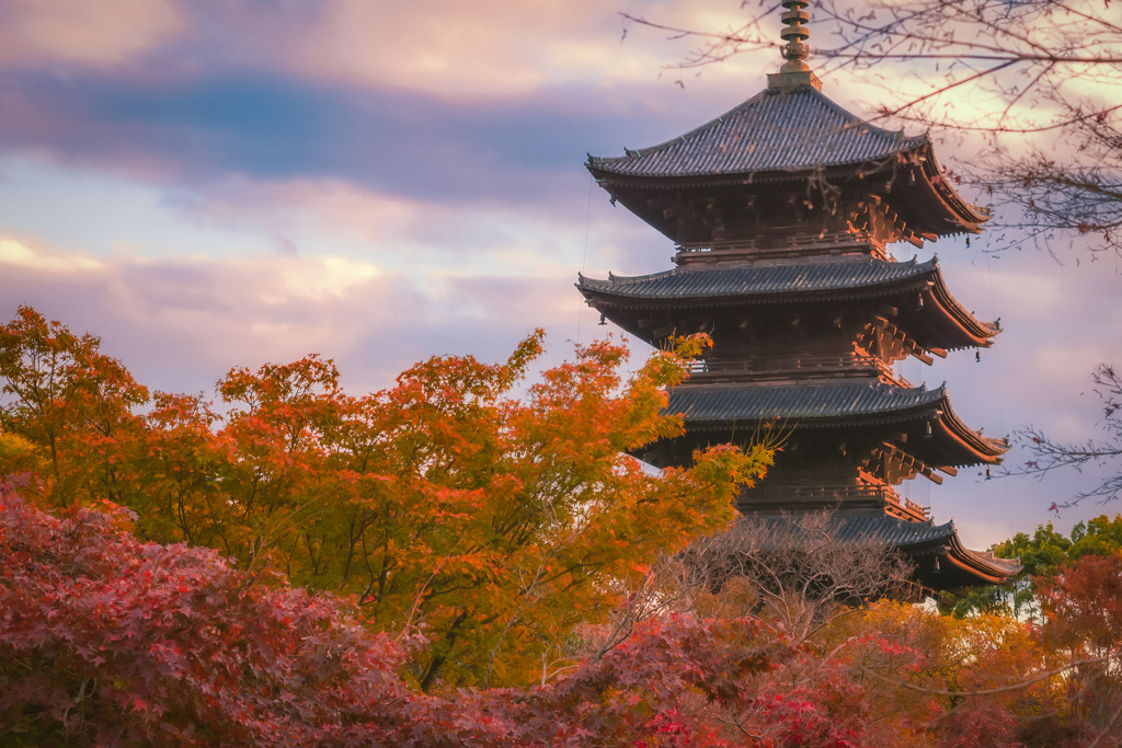 夕景の東寺