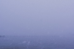 吹雪の水面