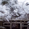 雪の石橋