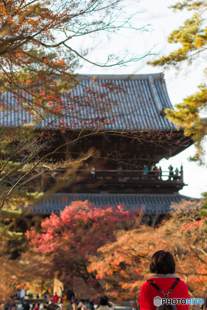 絶景かなー
