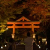 紅葉きれいだね