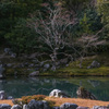 枯山水