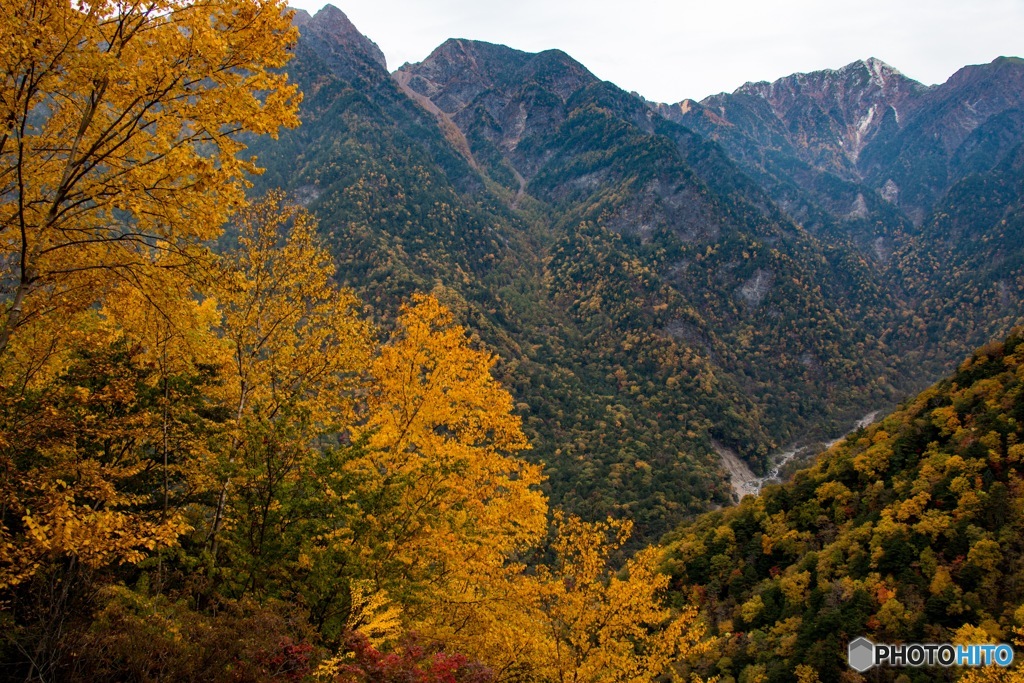 紅葉する山