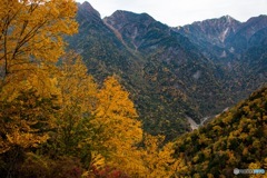 紅葉する山