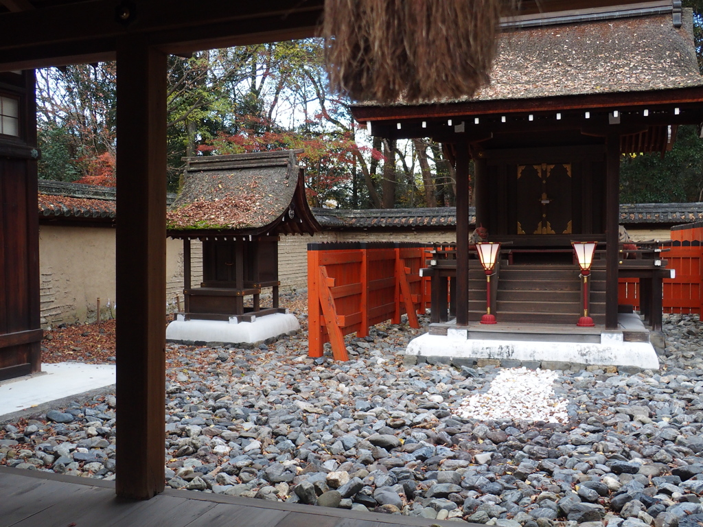京都8