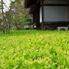 掛川16