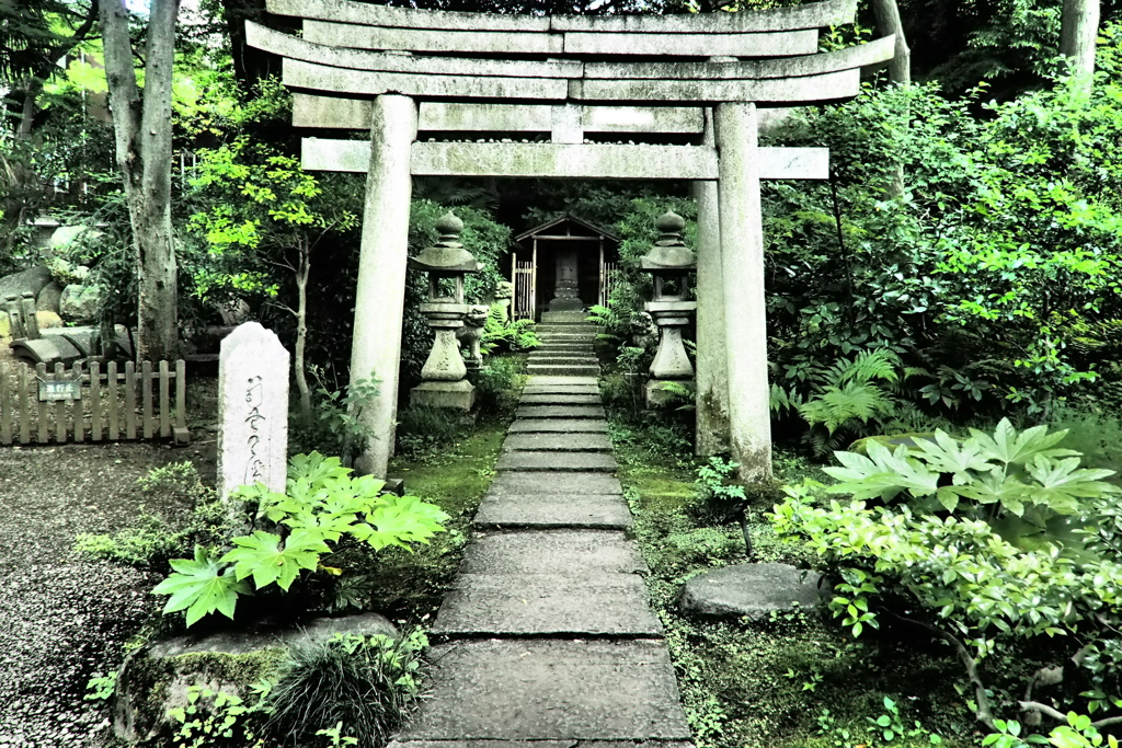 東京20