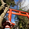 京都1