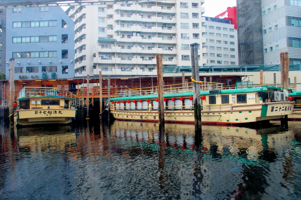 東京7