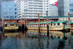 東京7
