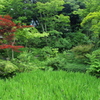 東京32