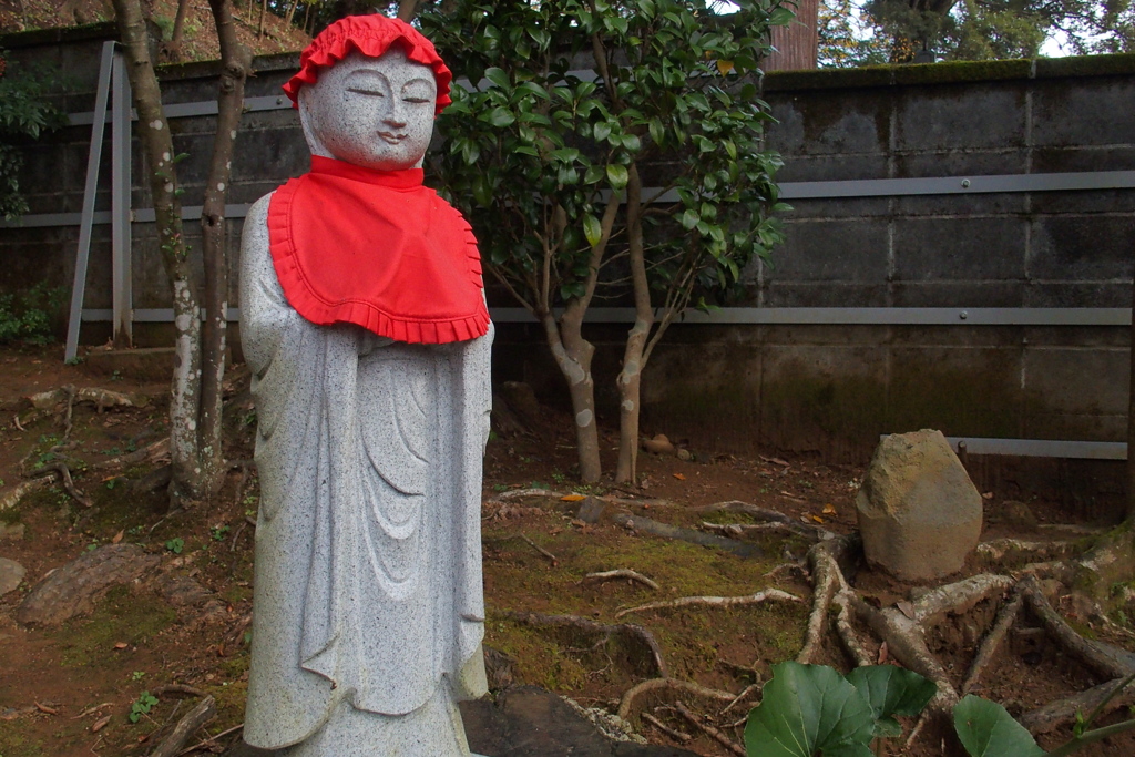 修善寺８
